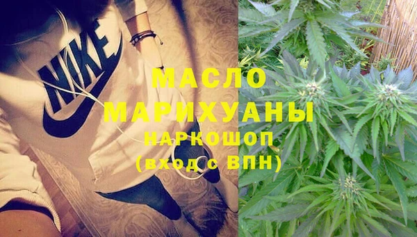 стаф Каменногорск