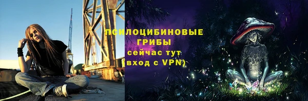 прущие крисы Касимов